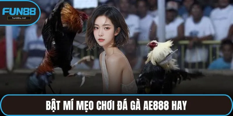 Bật mí mẹo chơi đá gà AE888 hay