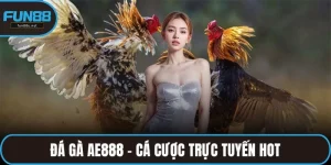 Đá gà AE888
